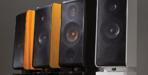 Markaudio Sota Viotti 1- family- grille close-up