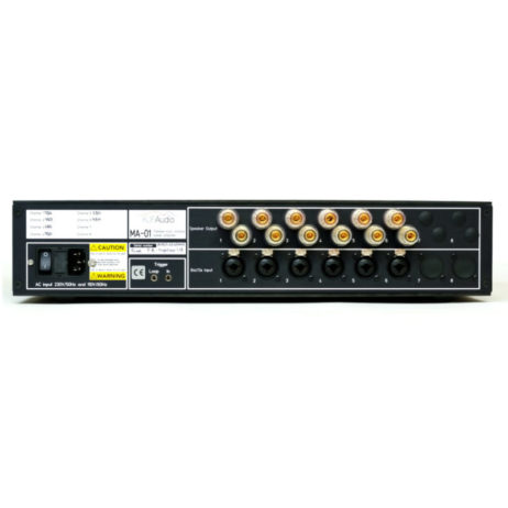 MA-01 multi channel hypex n-core amplifier rear 6 channel option with the gold plated CMC speaker binding posts
