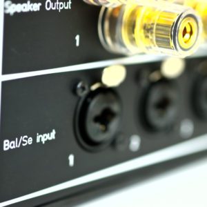 shot of the MA-01 rear panel close up of the balanced inputs