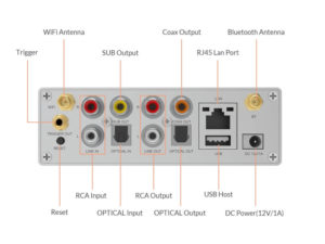 Arylic S50 Pro+ rear panel