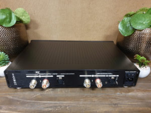 Hypex Nilai500DIY Stereo Kit - Rear Offset View